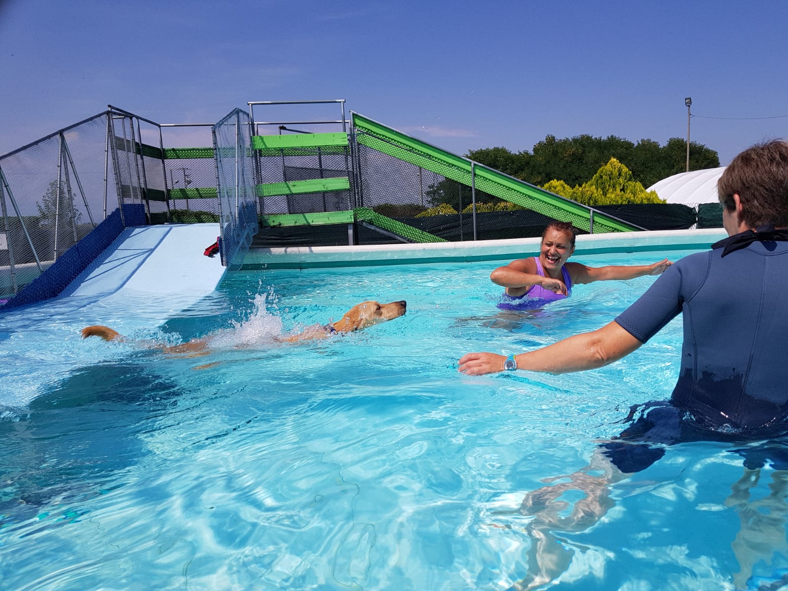 domeniche in piscina cani