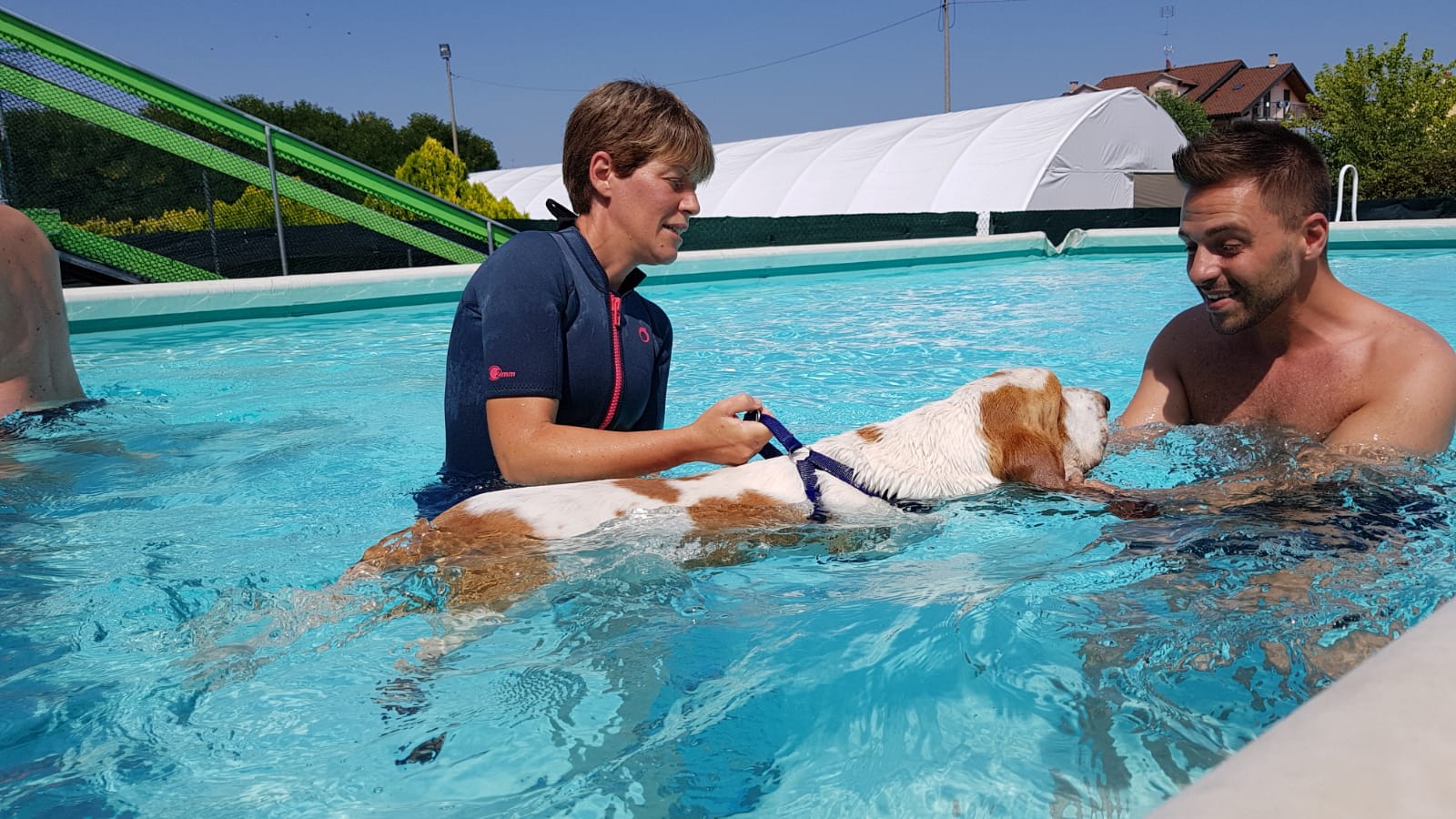 domeniche in piscina cani